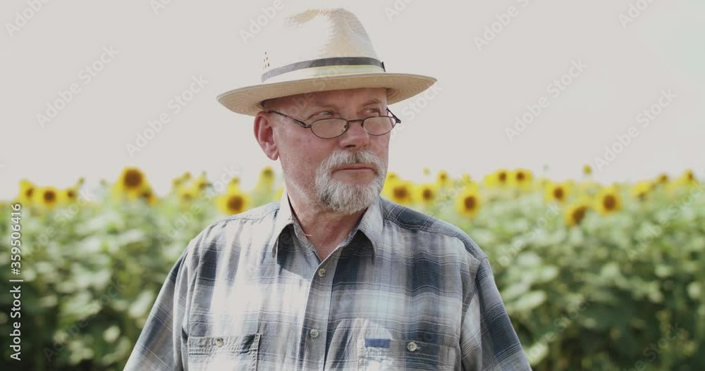 Portrait of a senior looking around on background of a blooming sunflower field Portrait of a senior looking around on background of a blooming sunflower field