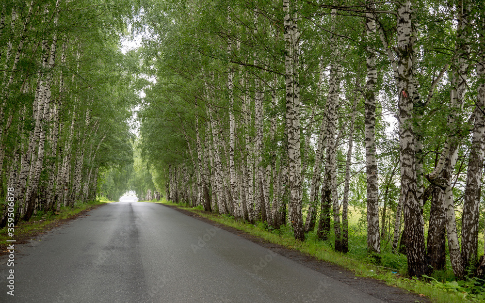 Naklejka premium The road from Ufa to Chelyabinsk