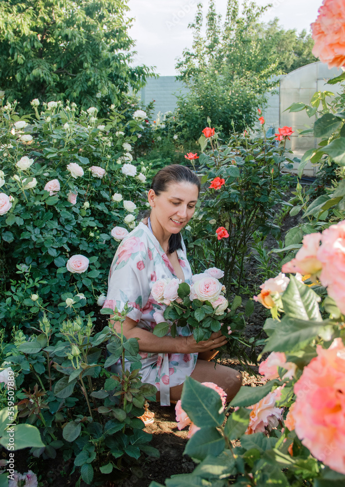 female picking flowers and smiling. adult brunette woman cuts roses in the morning garden. rustic lifestyle concept, free space female picking flowers and smiling. adult brunette woman cuts roses in the morning garden. rustic lifestyle concept, free space