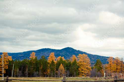 Autumn panorama photo