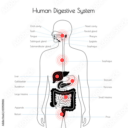 Pain in human body