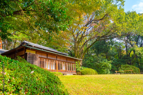 Japan. Building in a Japanese Park. Architecture Of Japan. Sunny autumn day in the Park. Autumn in Japan. Japanese flavor. The building is surrounded by trees and shrubs. Travel to East Asia.