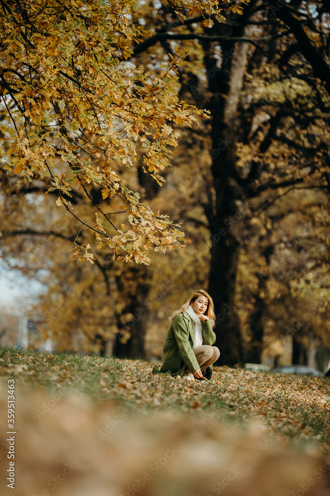 Beautiful Autumn Asian woman with Autumn Leaves on Fall Nature Background. Beautiful Autumn Asian woman with Autumn Leaves on Fall Nature Background.