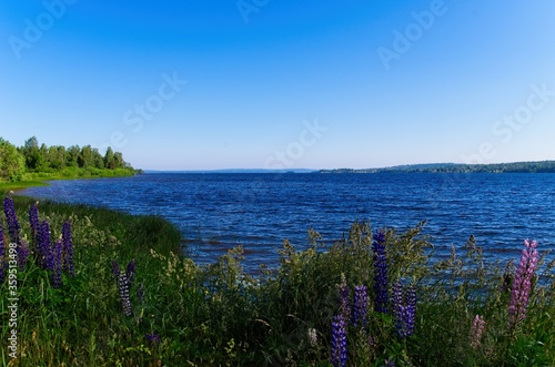 A sunny summer morning around lake Siljan with forests and rolling hills in beautiful Dalarna,Sweden