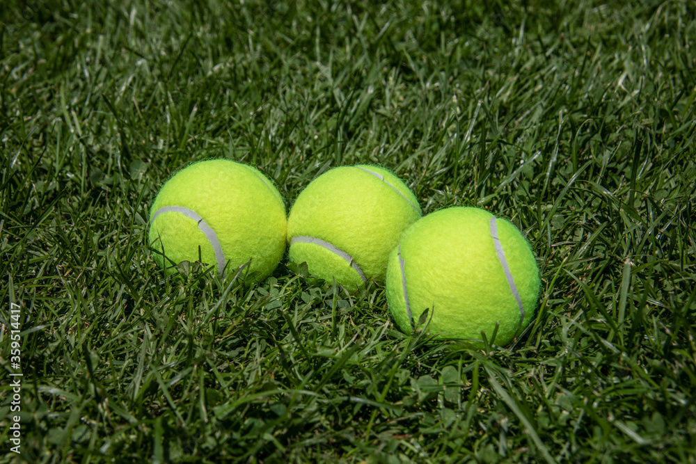 drei gelbe Tennisbälle liegen im Gras des Rasenplatzes
