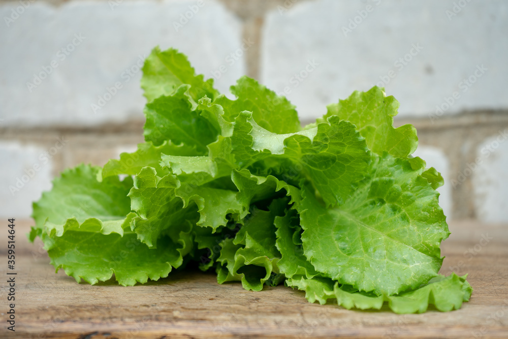 young green salad on wooden cutting board young green salad on wooden cutting board