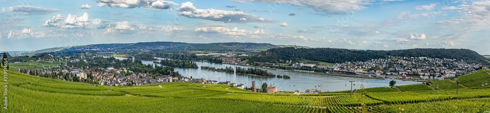 scenic vineyard landscape with river Rhine view at Ruedesheim