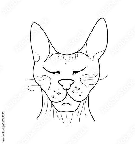 doodle sphynx cat. Funny, cute, hand drawn illustration for poster, banner, print, decoration kids playroom or greeting card.