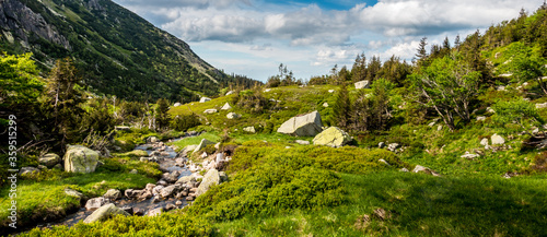 A brook flowing through a mountain valley