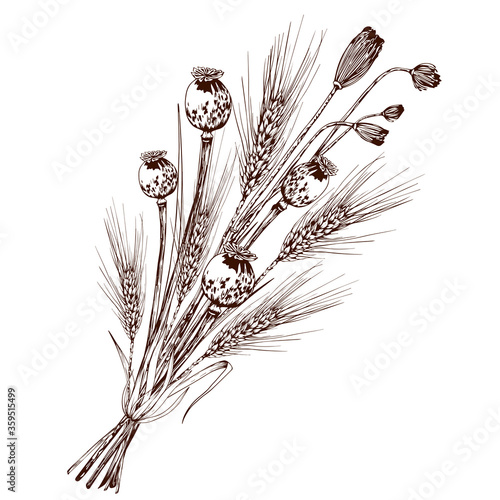 Bouquet of wheat spikelets, poppy seed boxes and wild flowers.