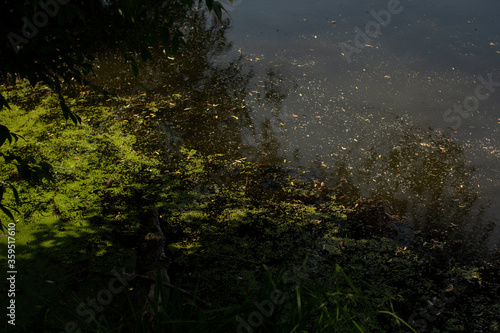 dirty water in the lake