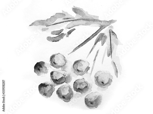 watercolor black and white Rowan cluster