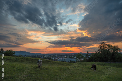 Fototapeta Naklejka Na Ścianę i Meble -  Dramatische Wolkenstimmung zum Sonnenuntergang in Salzburg