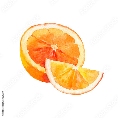 Vector watercolour orange fruit illustration. Hand drawn orange. Fresh orange fruit. Bright and fresh illustration. Watercolor botanical painting.