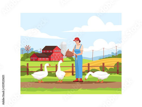 Poultry pasture on farmland semi flat vector illustration. Local production of domestic bird. Woman feeding geese. American farm. Female farmer 2D cartoon characters for commercial use