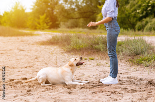 Canvas Print Girl giving a command to her obedient retriever