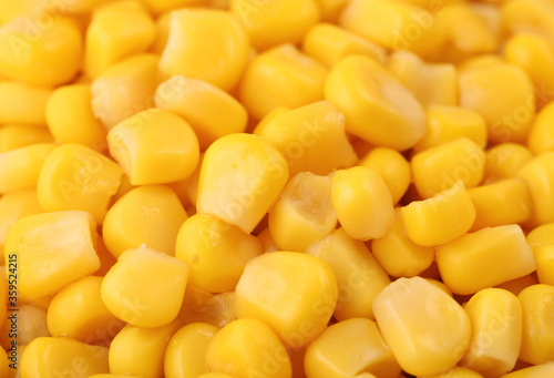 yellow grain corn background texture
