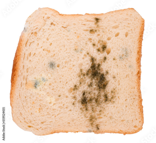 Quadro em tela a piece of moldy bread on a white background