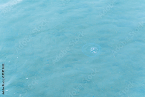 background image of sea waves with jellyfish, top view.