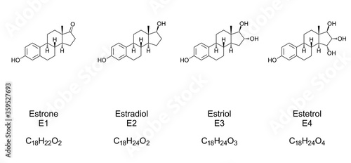 Major endogenous estrogens. Chemical structures of Estrone (E1), Estradiol (E2), Estriol (E3) and Estetrol (E4), sex hormones and sex steroids. Skeletal and structural formula. Illustration. Vector.