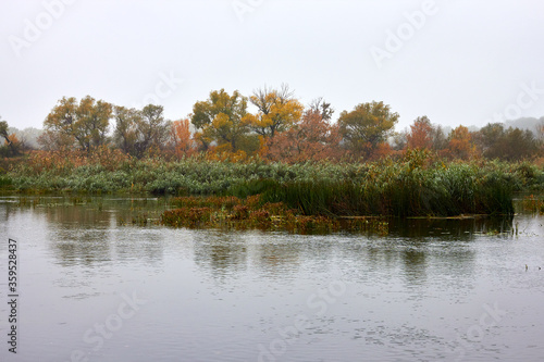 Fototapeta Naklejka Na Ścianę i Meble -  Fog over the river and reeds in the early morning in autumn
