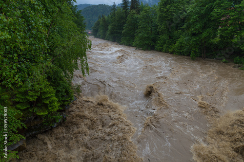 Stormy mountain river Prut in the Carpathian mountains. Ukraine