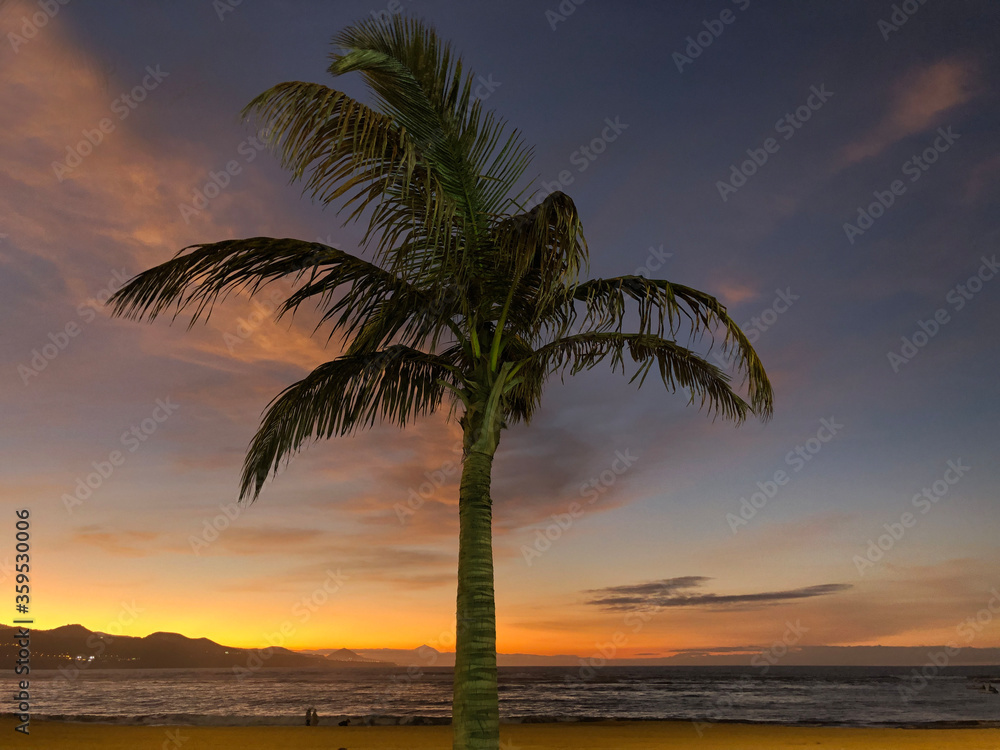 Sunset with a palmtree at Las Canteras beach