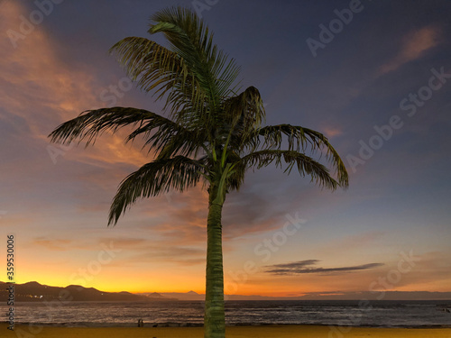 Sunset with a palmtree at Las Canteras beach