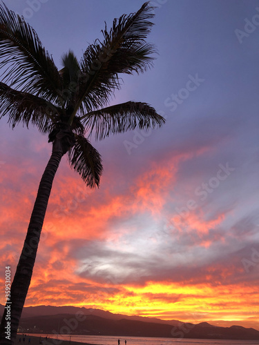 Sunset with palmtree at Las Canteras beach