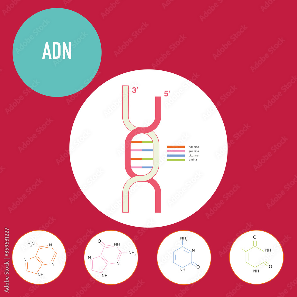 Guanina Images – Browse 46 Stock Photos, Vectors, and Video | Adobe Stock, image size:1000x1000