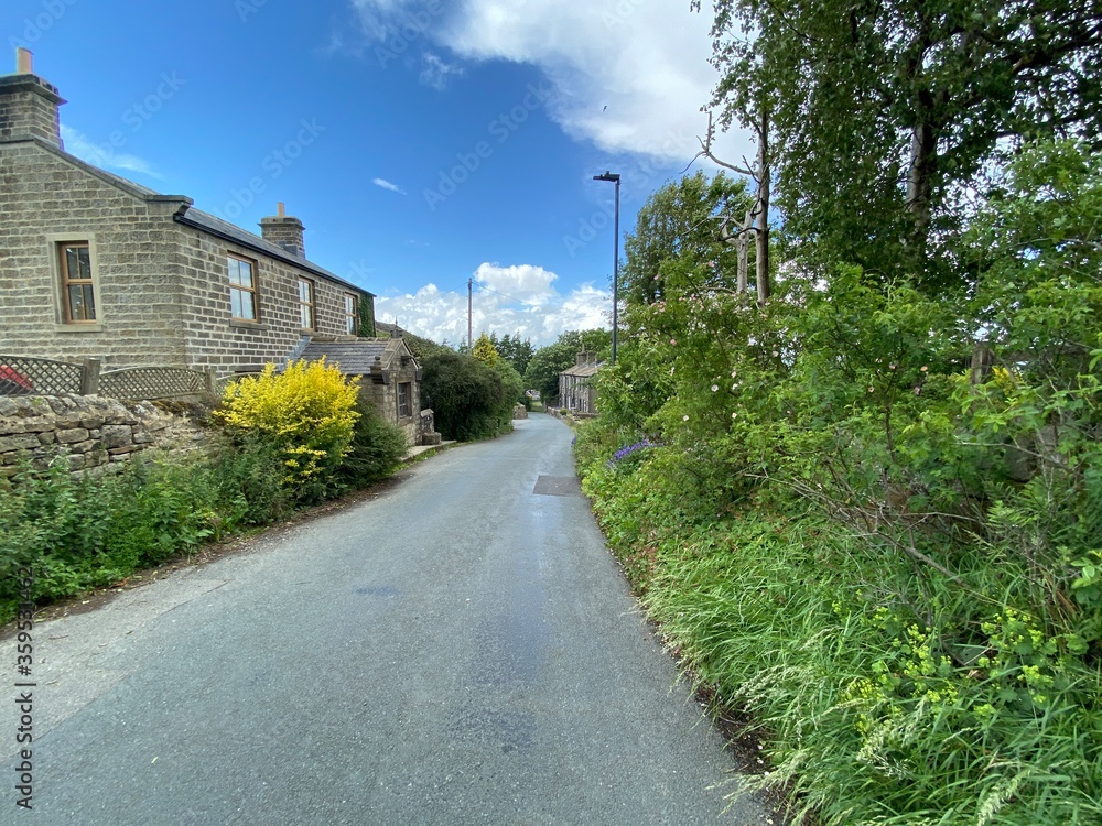 Country lane, with wild plants, flowers, and houses near, Cowling, Keighley, UK
