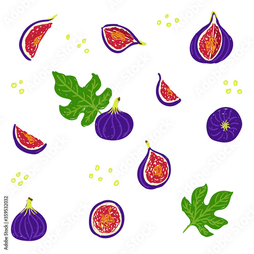 Fig pattern. Vector illustration fig set for template design. Leaf, fig section, half, cut fig design template