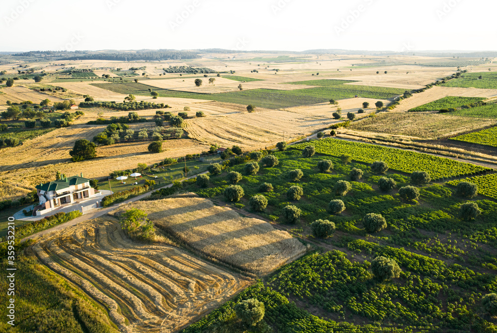 Aerial view at agricultural fields at sunset