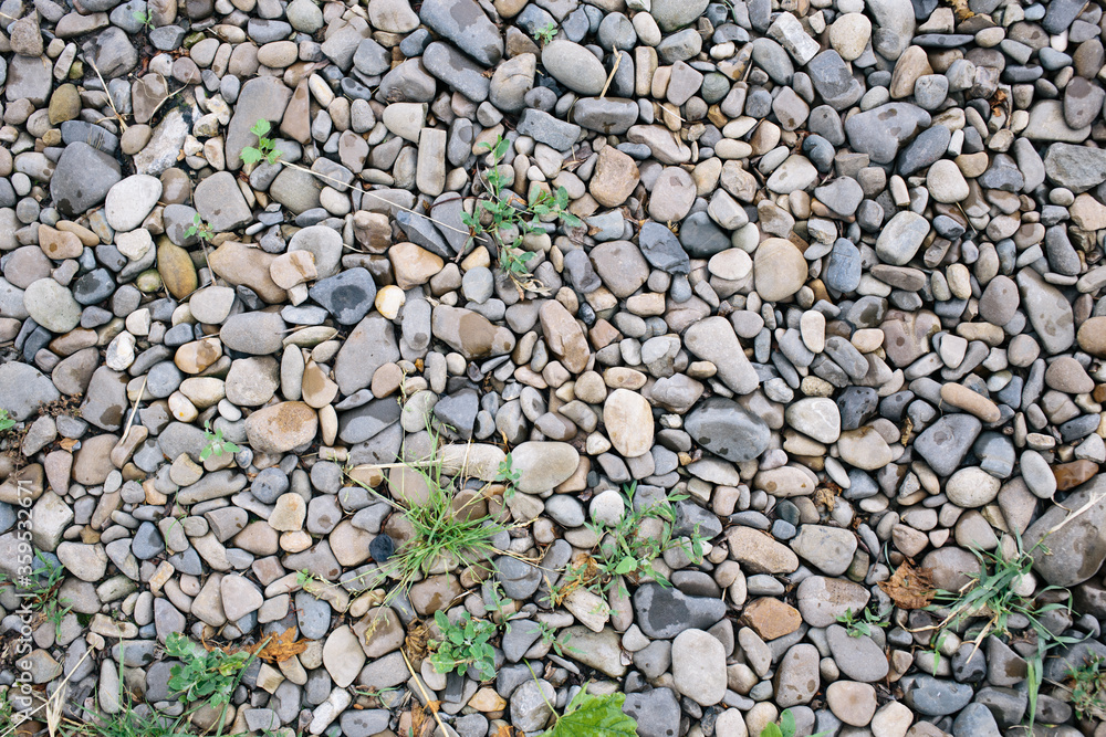 Many small stones. Beach with stones and green grass. Pebble stones. Many small stones. Beach with stones and green grass. Pebble stones.