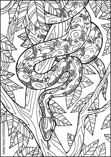 snake coloring book contour drawing by hand reptiles set one of eight isolated white background beautiful pattern fashionable for children and adults for boys and girls relax