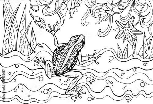 frog toad tree frog coloring book contour drawing freehand reptiles set one of eight isolated white background beautiful pattern fashionable for children and adults for boys and girls relax