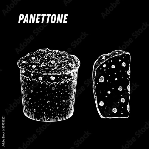 Panettone sketch. Italian dessert vector illustration. Italian sweet hand drawn sketch. Vintage design template.