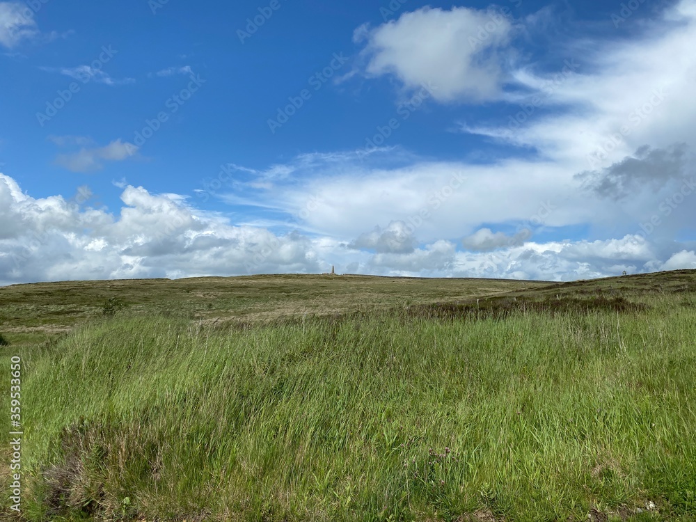 Fototapeta premium Long grasses on the moor, with Cowling Pinnacle, on the horizon in, Cowling, Keighley, UK