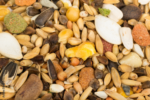 Mixture of Bird seeds and nuts for parrots. Texture pattern close up detail macro. Abstract background.