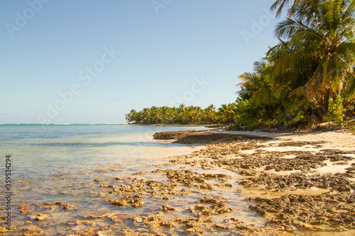 Sandy beach with small rock formations and palm trees