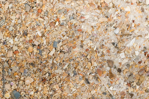Mixture of Sand and Shells for Bird and Parrots bottom cage. Texture pattern close up detail macro. Abstract background.