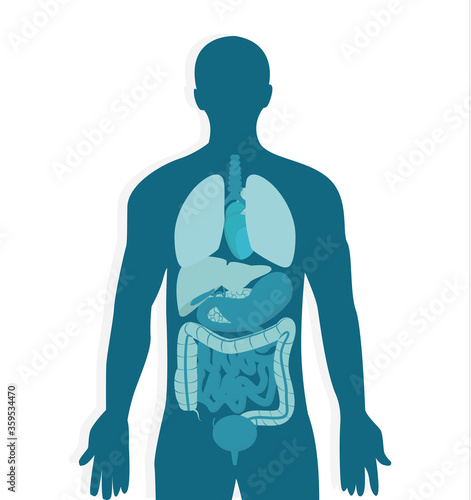 Human Body Anatomy. Vector Image Of Male Internal Organs In Blue Colors
