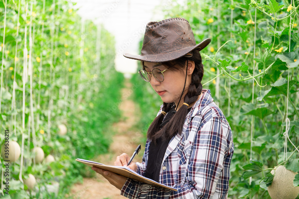 smart farmer using technology in an agriculture field, She was watching the produce from her garden, her checking by using notebook in farm field.