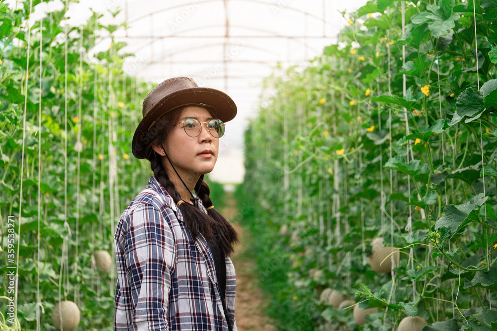 Smart farmer of the garden is looking at the garden and its produce. Smart farmer of the garden is looking at the garden and its produce.