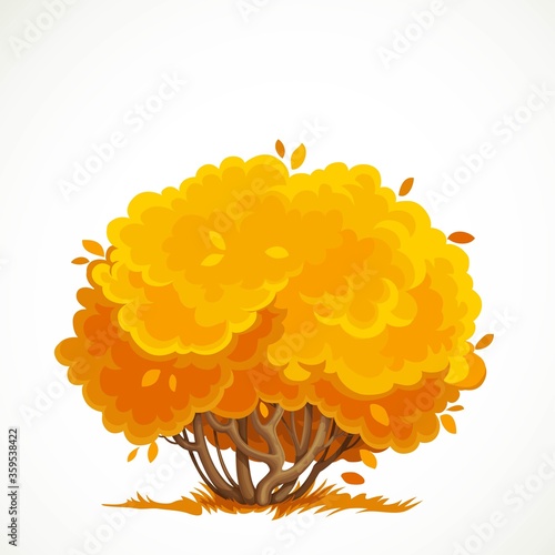 Low bush with a lush crown of yellow autumn leaves vector drawing isolated on white background