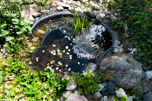 Gartenteich, Frosch-Tümpel, 
