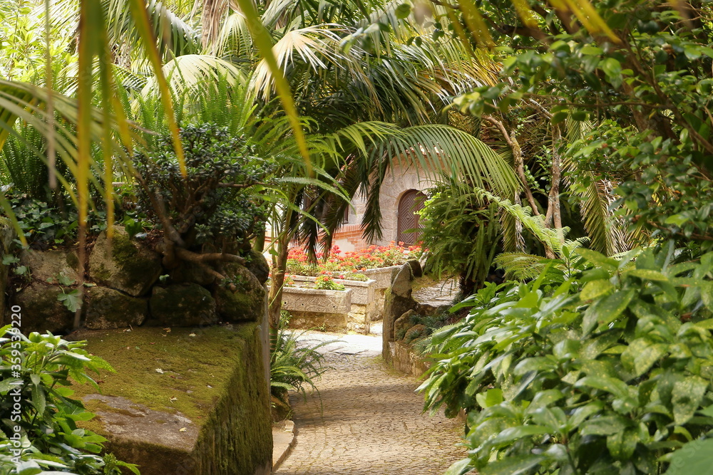 Image of green garden, Sintra, Portugal