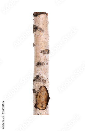 Εκτύπωση καμβά birch log for fireplace isolated on white background
