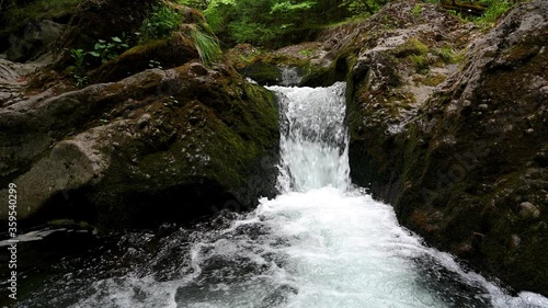 Video with a fast flowing mountain stream in the spring forest