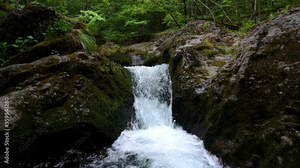 Video with a fast flowing mountain stream in the spring forest Video with a fast flowing mountain stream in the spring forest